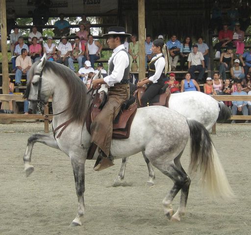 Estación Equina