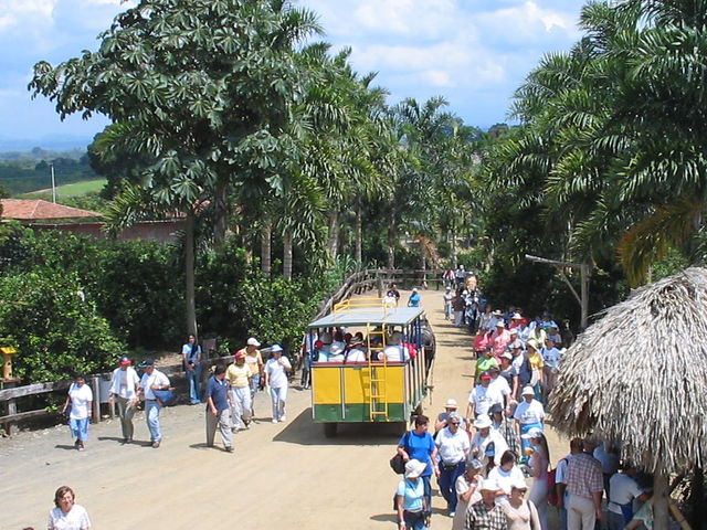 Panaca