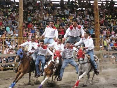 Fabuloso Mundo del Caballo